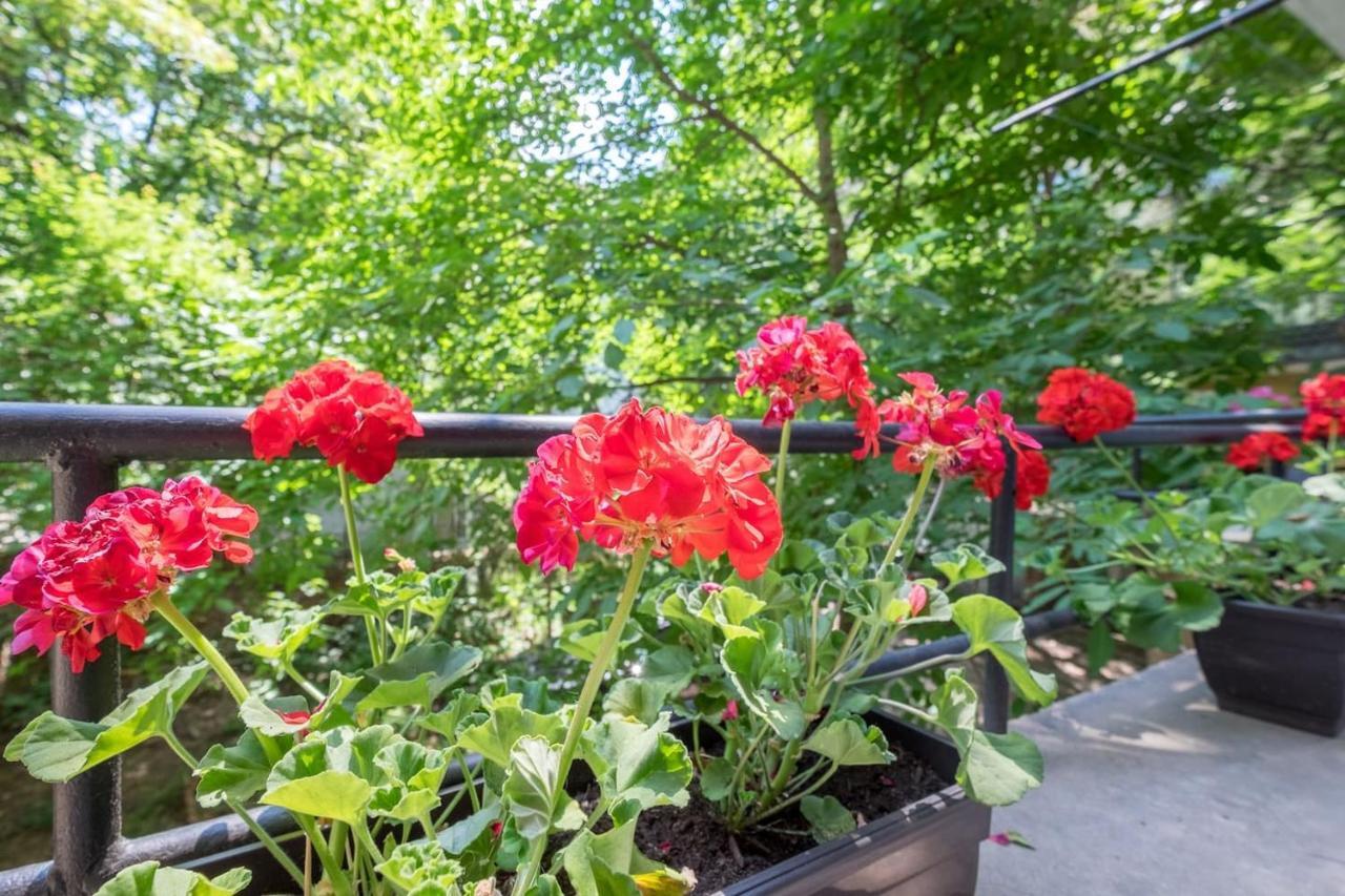 Your Perfect Place To Stay On Vitosha Str Apt София Экстерьер фото